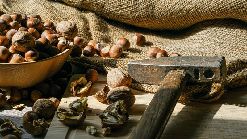 des noisettes, noisettes, récolter, repas, en bonne santé, alimentation, aliments, goûter