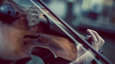 violon, violoniste, la musique, classique, mélodie, du son, jouer, instrument à cordes, joueur, tumblr fond d'écran, violon, violon, violon, violon, violon
