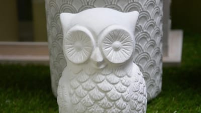 chouette, hibou, objet décoration, hiboux, plâtre, blanc, objet