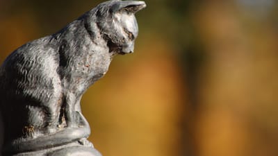 cimetière, religion, animal, monument funéraire, art funéraire, bronze, chat, couleurs d'automne, tombeau, animal de compagnie, graves, statue, funéraire, foi, ange, deuil, vieux