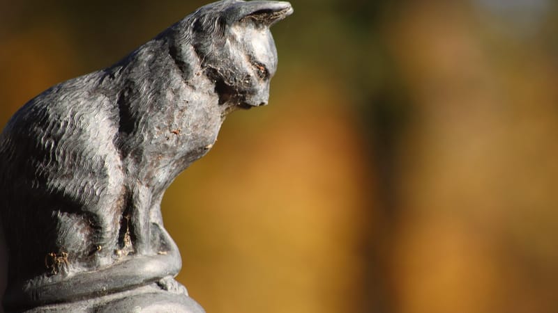 cimetière, religion, animal, monument funéraire, art funéraire, bronze, chat, couleurs d'automne, tombeau, animal de compagnie, graves, statue, funéraire, foi, ange, deuil, vieux