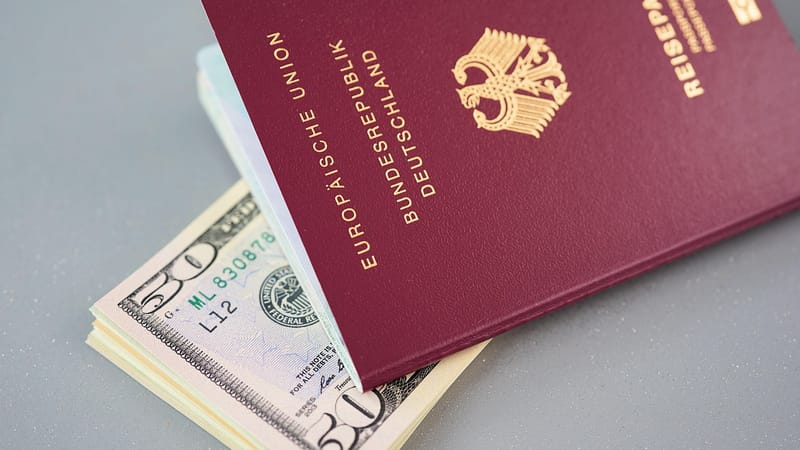 passeport, identité, identification, immigration, voyager, identifiant, citoyenneté, citoyens, visa, de campagne, dollar, argent, vacances, document, sécurité, tourisme