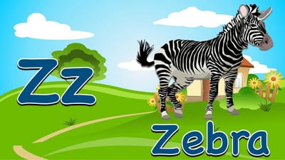 lettre z, alphabet, zèbre, en train de lire, orthographe, phonétique, enseignement, flashcards, préscolaire