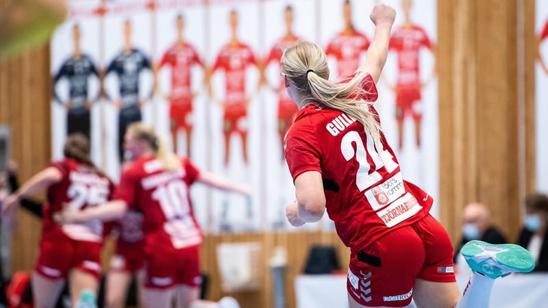 femme, handball, sports d'intérieur, des sports, handball féminin, jeux, queue de cheval, content, à votre santé, handball, handball, handball, handball, handball