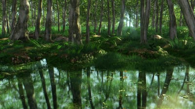 bois, nature, l'eau, feuille, arbre, paysage, marais, flore, environnement, réflexion, en plein air, fleuve, sauvage, mousse, fougère, léger, 3d, rendre, plantes, vert, forêt, conception, rendu, fantaisie, magique, gazon, numérique, généré, la technologie, artistique, fond d'écran, la technologie verte, fond d'écran hd, vert fantaisie, verte numérique, papier peint vert, rivière verte, la magie verte