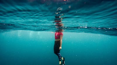 palmes, océan, nature, personne, mer, la natation, sous-marin, l'eau, plongée, plongeur, femme, submergé