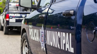 patrouille, surveillance, policier, l'autorité, officiel, protection, véhicule, garder, gouvernement, les flics, équipe, obliger