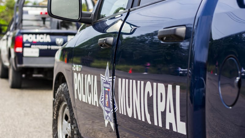 patrouille, surveillance, policier, l'autorité, officiel, protection, véhicule, garder, gouvernement, les flics, équipe, obliger