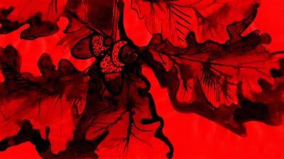gland, illustration, dessin, tu