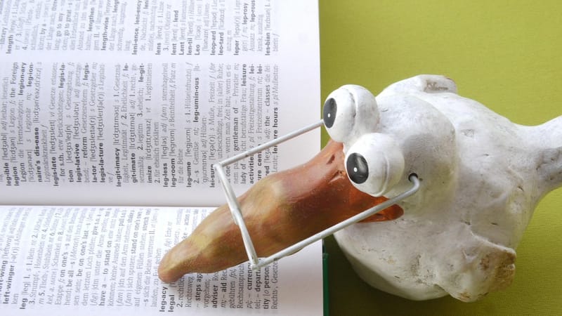 école, un livre, savoir, lis, apprendre, entraînement, étudier, feuilleter, l'écriture, lire à travers, étude, littérature, texte, formation, lunettes, oiseau, chiffre d'argile, décoration, sagesse, attentif, amusement, une bibliothèque, cahier de texte, information, traduction, recherche, science, einschulung, traduire, dictionnaire, une langue étrangère, sens, troubles de la lecture, côté, intelligent, page de livre, allégorie, symbole, légal, droit, permis, papier, emploi, intelligence, étudi