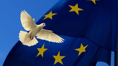 l'europe , drapeau, paix, colombe, colombe de paix, unité, européen, brexit, symbole, bannière, étoiles, cohésion, communauté, politique