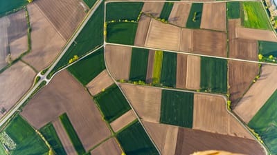 Vue aérienne de champs en patchwork vibrants avec des cultures diverses dans un paysage rural en été.