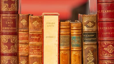 Une rangée de livres classiques reliés en cuir avec des couvertures et des titres ornés exposés sur une étagère.