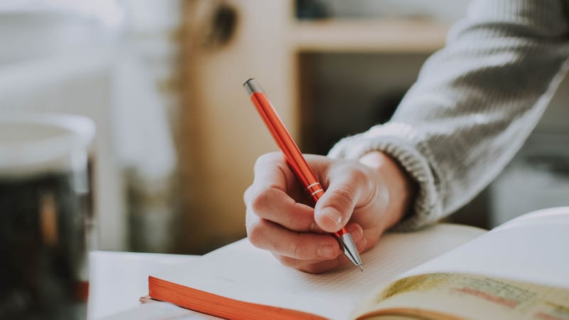 Une personne écrivant dans un carnet avec un stylo à bille rouge, mettant en avant le détail et la concentration.