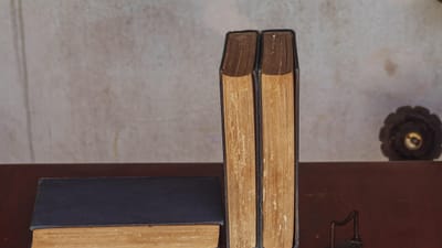 livres, une bibliothèque, en train de lire, éducation, l'histoire, philosophie, étagères, apprentissage, littérature