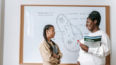 Une enseignante et une élève participant à une discussion amicale en classe sur les paramécies sur un tableau blanc.