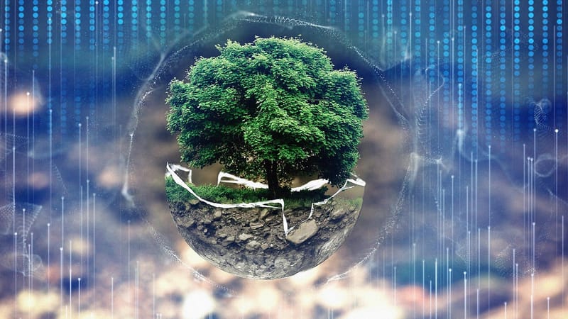 forêt, protection environnementale, environnement, atmosphère, la technologie, développement, le progrès, la science, fragile, surreal, arbre, la nature, réserve naturelle, sensible, extinction de la forêt, les bois, feuilles, croître, bon vert, écologie, éco, biographie, bol en verre, biologique, protection de l'environnement