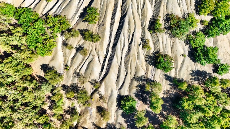 Vue aérienne d'un terrain présentant des motifs d'érosion frappants, entouré d'arbres verts, mettant en valeur des formations naturelles.