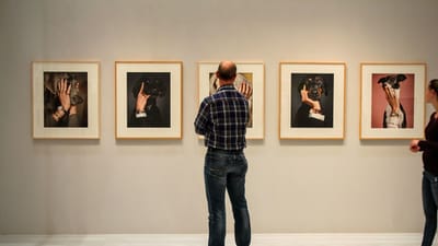 exposition, voir, visiteurs, galerie, musée, art, galerie, galerie, galerie, galerie, galerie