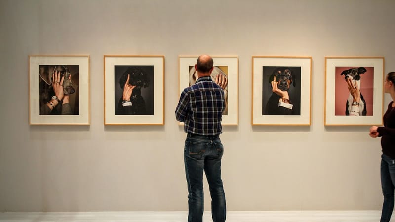 exposition, voir, visiteurs, galerie, musée, art, galerie, galerie, galerie, galerie, galerie
