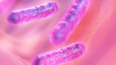 bacilles, bactéries, microbe, santé, la biologie, science, bacilles, bacilles, bactéries, bactéries, bactéries, microbe, microbe, microbe, microbe, microbe, science