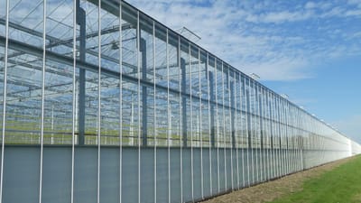 serre, horticulture, jardin, environnement, nature, agriculture, l'aménagement paysager, l'architecture, lignes