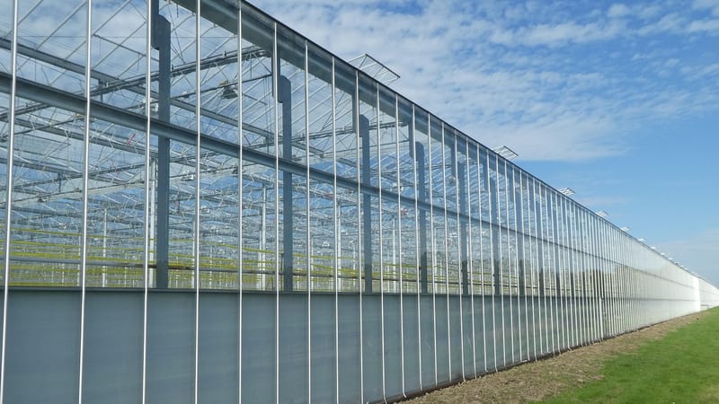 serre, horticulture, jardin, environnement, nature, agriculture, l'aménagement paysager, l'architecture, lignes