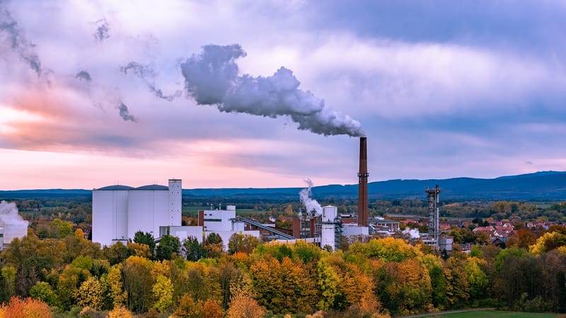 usine, du sucre, des arbres, biotechnologie, industrie, imeuble, production, aliments, architecture, raffinerie, travailler, appétissant, sugar, installation industrielle, bâtiment d'usine, bâtiment industriel, cheminée, environnement, fumée, forêt, tombe, résine, ciel du soir