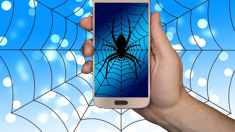 smartphone, main, web, toile d'araignée, araignée, l'internet, réseau, social, réseau social, logo, facebook, google, réseaux sociaux, la mise en réseau, des médias sociaux, cherche, pris, intoxiqué, dépendance