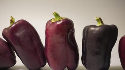 des légumes, nature, aliments, santé, en bonne santé, écraser