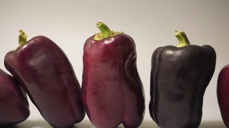 des légumes, nature, aliments, santé, en bonne santé, écraser