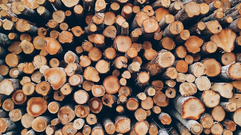 bois, pile, des troncs d'arbres, fût, bois de chauffage, morceaux de bois, tas de bois, en bois, charpente, sylviculture, texture, la déforestation, matériel, rondins de bois, bois, bois, bois, bois, bois