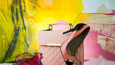 bourse, chaussure, accessoire de mode, mode, a la mode, élégant, couleur, attrayant, conception, élégance, décoration, luxe, femme, style