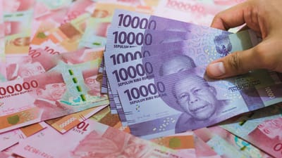 roupie, devise, argent, la finance, entreprise, économie, impôt, investissement, financier, en espèces