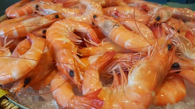 buffet, ligne, frais, aliments, gourmet, goûter, célébration, le restaurant, plateau, restauration, repas, délicieux, régime, choix, table, le déjeuner, service, dîner, verre, savoureux, fruit, en bonne santé, salade, sucré, assiette, bar, banquet, beaucoup, hôtel, blanche, un événement, concombre, le dessert, tomate, fromage, magasin, orange nourriture, orange shopping, brun shopping, restaurant orange, parti orange, brune partie, orange sain, table orange, verre orange, orange boutique, brown
