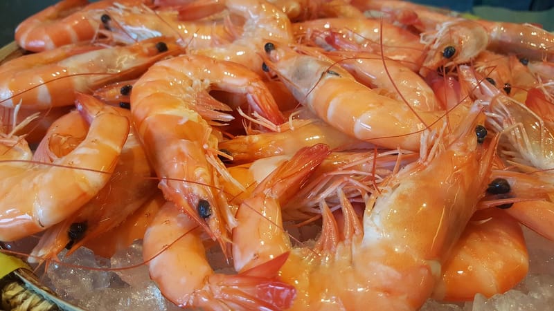 buffet, ligne, frais, aliments, gourmet, goûter, célébration, le restaurant, plateau, restauration, repas, délicieux, régime, choix, table, le déjeuner, service, dîner, verre, savoureux, fruit, en bonne santé, salade, sucré, assiette, bar, banquet, beaucoup, hôtel, blanche, un événement, concombre, le dessert, tomate, fromage, magasin, orange nourriture, orange shopping, brun shopping, restaurant orange, parti orange, brune partie, orange sain, table orange, verre orange, orange boutique, brown