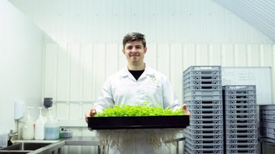 ingénieur, ingénierie, indoorfarm, agriculture, environnement, des graines, cultures, science, recherche, vert, nature, les plantes, laitue