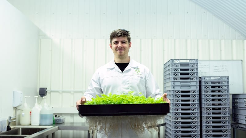 ingénieur, ingénierie, indoorfarm, agriculture, environnement, des graines, cultures, science, recherche, vert, nature, les plantes, laitue