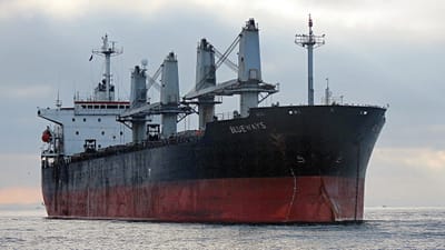 vraquier, navire, nautique, transport, logistique, cargaison, bateau à vapeur, industrie