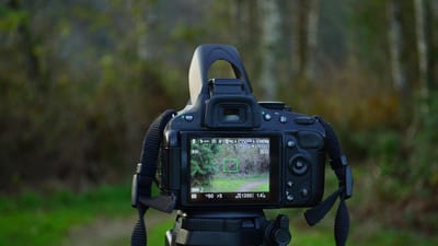 caméra, tournage, vidéographie, la photographie, film, vidéo, photographe, lentille, vert vidéo, verte, appareil photo, verte vidéos, film vert, vert de la photographie