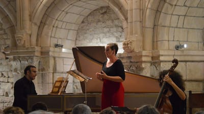 Une performance de musique classique en direct avec chanteuse, pianiste et violoncelliste dans un lieu historique.
