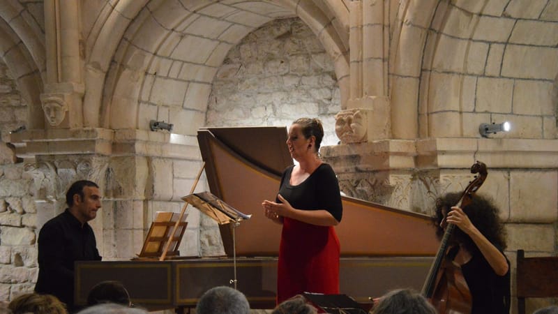 Une performance de musique classique en direct avec chanteuse, pianiste et violoncelliste dans un lieu historique.