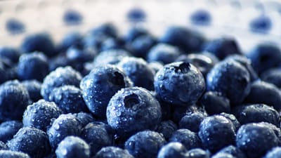 myrtilles, fruit, en bonne santé, nutrition, aliments, frais, vitamines, baies, myrtilles, myrtilles, myrtilles, fruit, fruit, fruit, fruit, fruit, nutrition