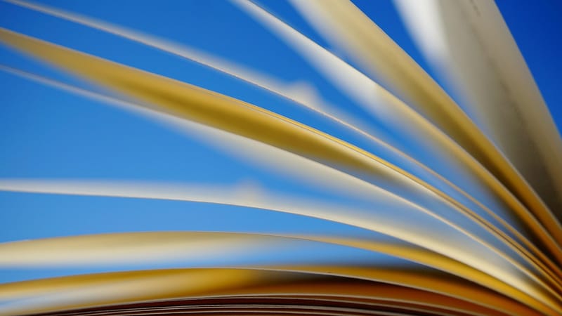 un livre, pages, faire défiler, papier, savoir, lis, entraînement, roman, littérature, fermer, lire à haute voix, paradis, bleu, tension, livres, des lettres, mots, ensembles, astucieux, instruit, école, formation, récit, concours de lecture, enseignant, roman, livres, livres, livres, mots, école, formation, formation, formation, formation, formation