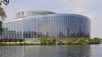 parlement européen, strasbourg, salle plénière, union européenne, riverain, malade, strasbourgeois, chambres du parlement, architecture, illbogène, imeuble, ville européenne, députés, rotonde, tourisme, représentant, urbain, moderne, attraction, vitrail, bleu, ue, la france, cygne, alsace, parlement européen, parlement européen, parlement européen, parlement européen, parlement européen, strasbourg, strasbourg, strasbourg, strasbourg, union européenne