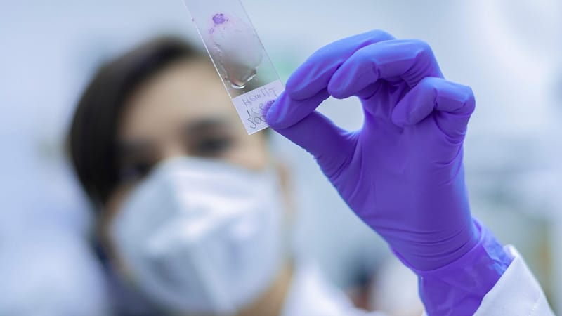 laboratoire, recherche, lame de microscope, expérience, une analyse, scientifique, chercheur, médicament, science, fermer, chercheur, chercheur, chercheur, chercheur, chercheur