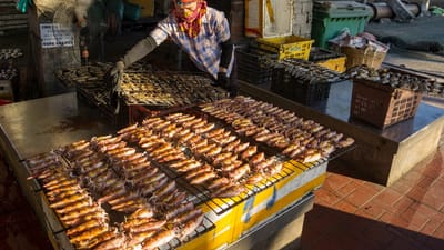 travailler, la main d'oeuvre, vietnam, gens, travail, difficile, nature, poisson, femme, portrait, marché, aliments, femmes