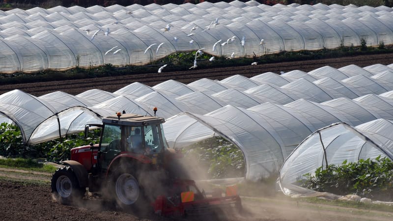Un tracteur travaillant près des serres dans une ferme rurale, capturant l'agriculture moderne en action.