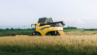 Moissonneuse-batteuse jaune en fonctionnement dans un champ de blé par une journée claire, mettant en avant l'agriculture moderne.