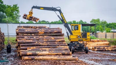 Un manipulateur de matériaux jaunes soulevant des billots dans une scierie, mettant en avant des machines industrielles modernes en action.